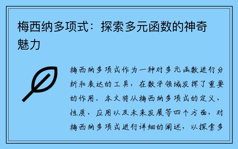 梅西纳多项式：探索多元函数的神奇魅力