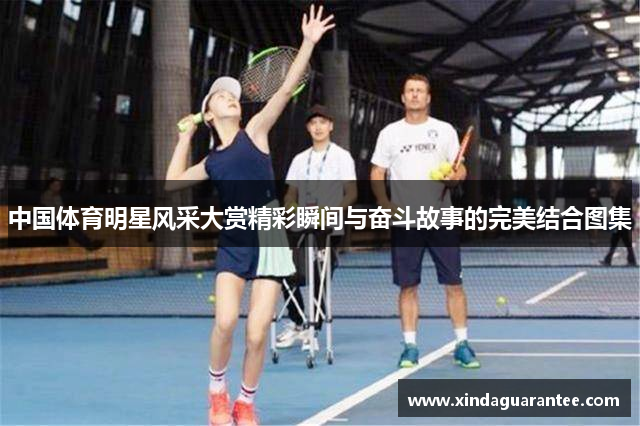 中国体育明星风采大赏精彩瞬间与奋斗故事的完美结合图集